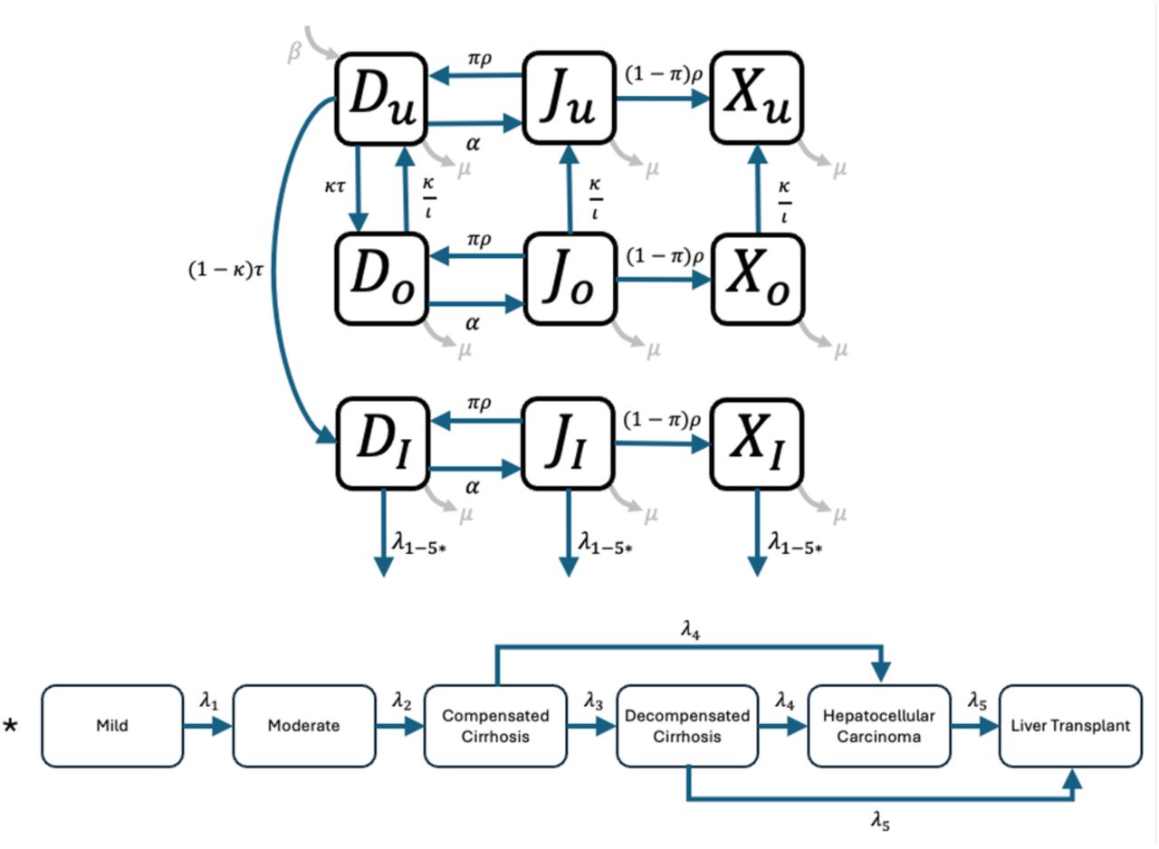 HCV model schematic